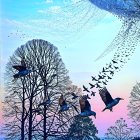 Dusk Landscape with Silhouetted Trees and Birds