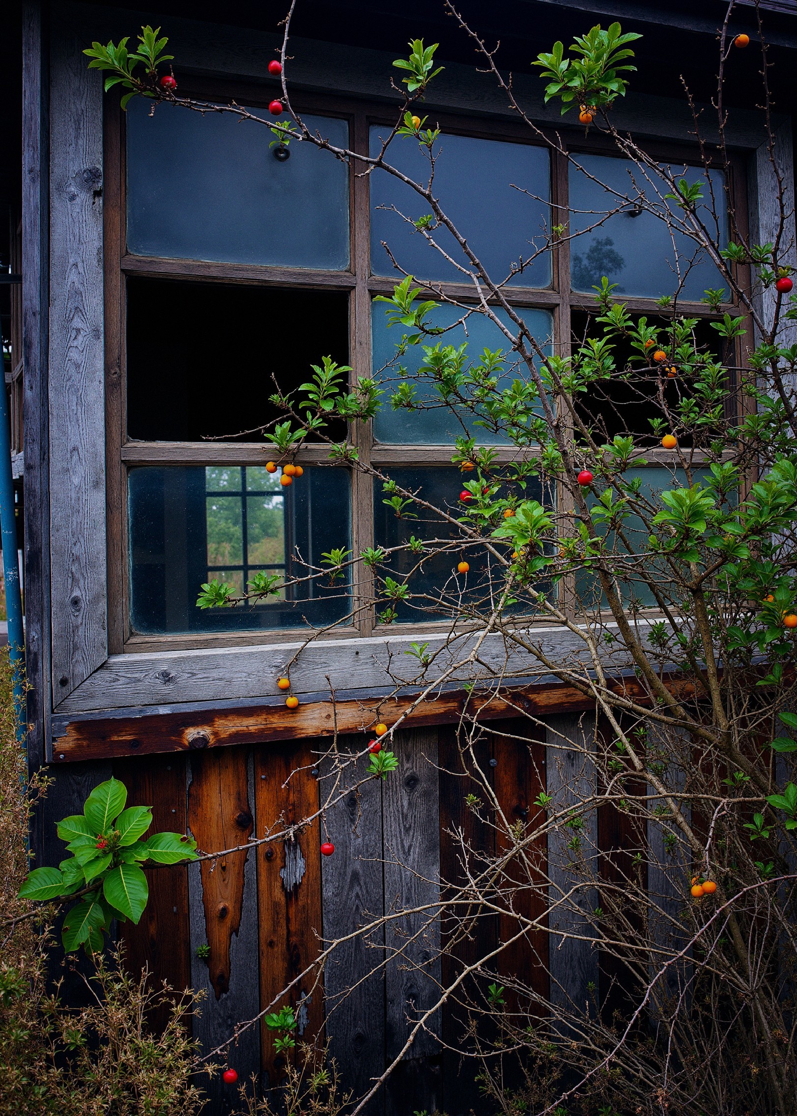Weathered Wooden Window on an Old Shack Exterior