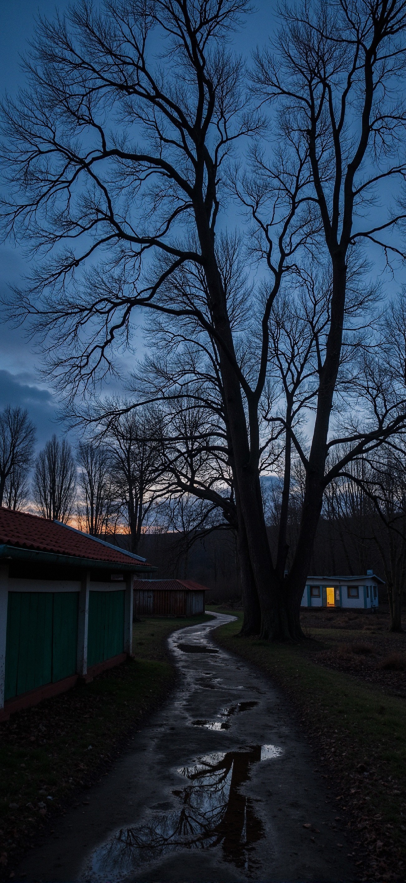 Winding Dirt Path Through Serene Dusk Landscape