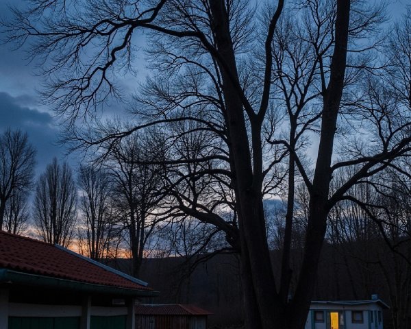 Winding Dirt Path Through Serene Dusk Landscape