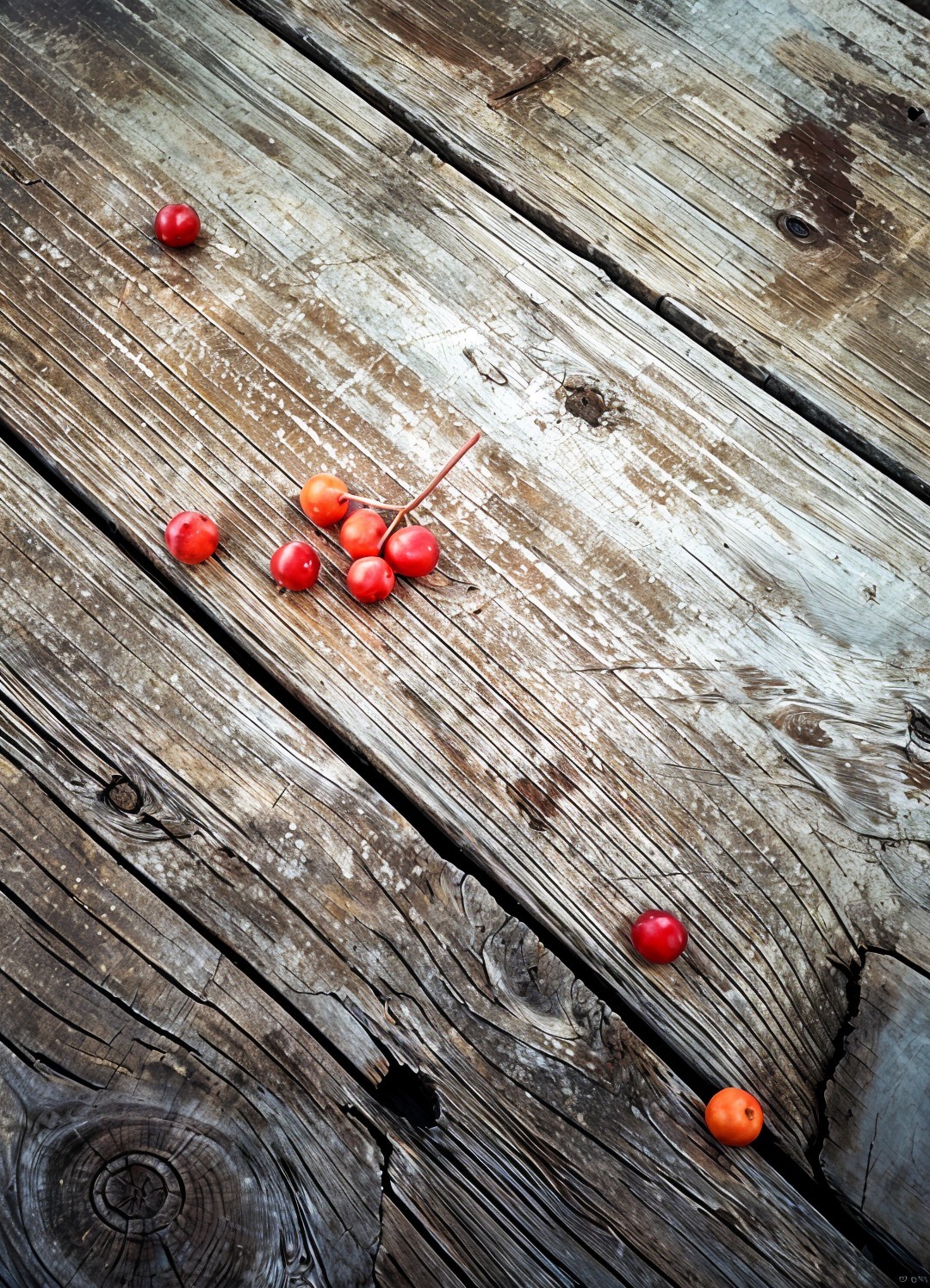 Vibrant Red and Orange Berries on Weathered Wood