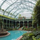 Elegant Indoor Pool with Lush Greenery and Architecture