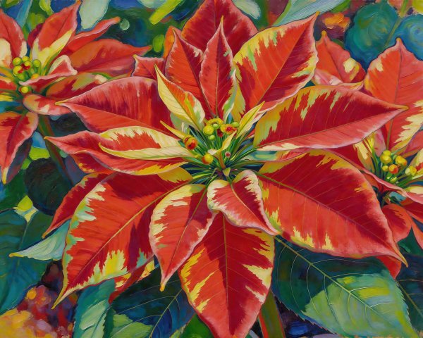 Close-up Oil Painting of Colorful Poinsettia Flowers