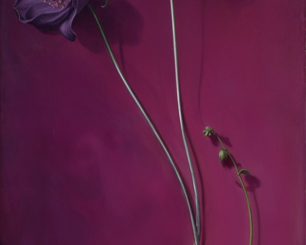 Elegant Purple Flowers on Deep Pink Background