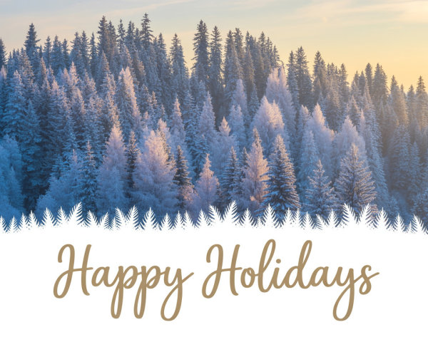 Serene Winter Landscape with Snowy Forest and Sky