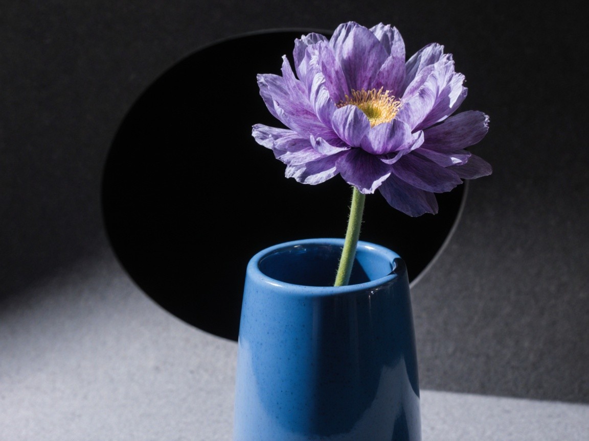 Purple Flower in Glossy Blue Vase with Dramatic Background