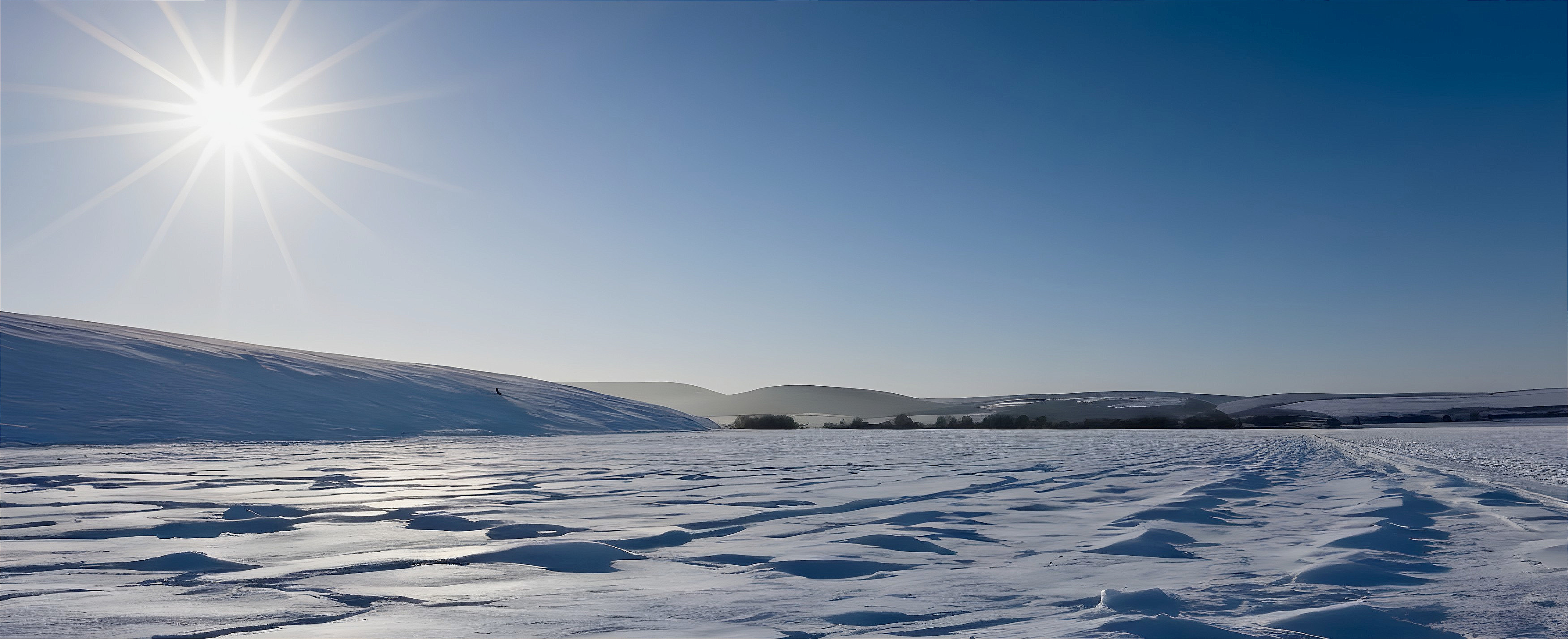 Serene Winter Landscape with Snow and Clear Sky