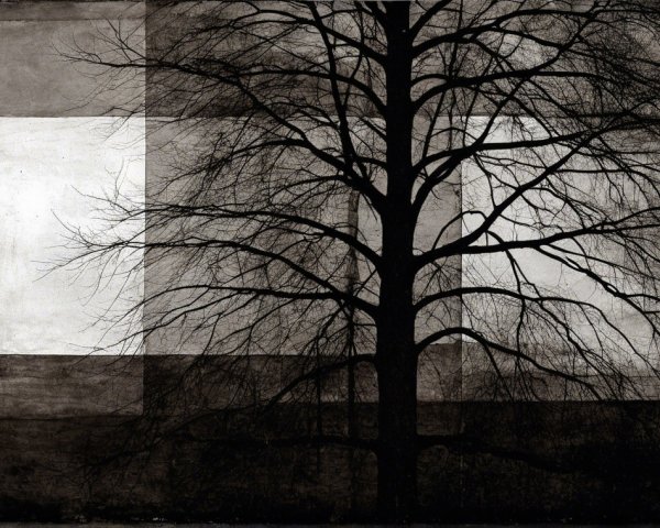 Silhouette of Leafless Tree with Geometric Background