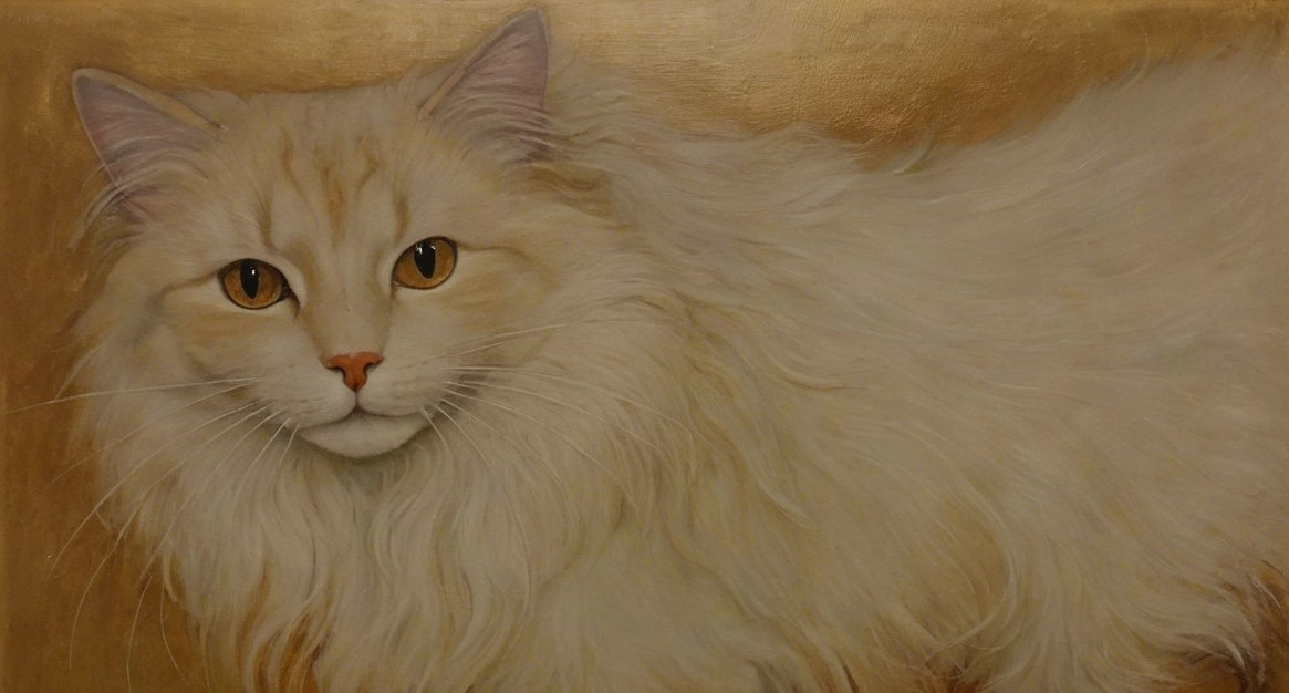 Fluffy White Cat with Golden Eyes and Soft Fur