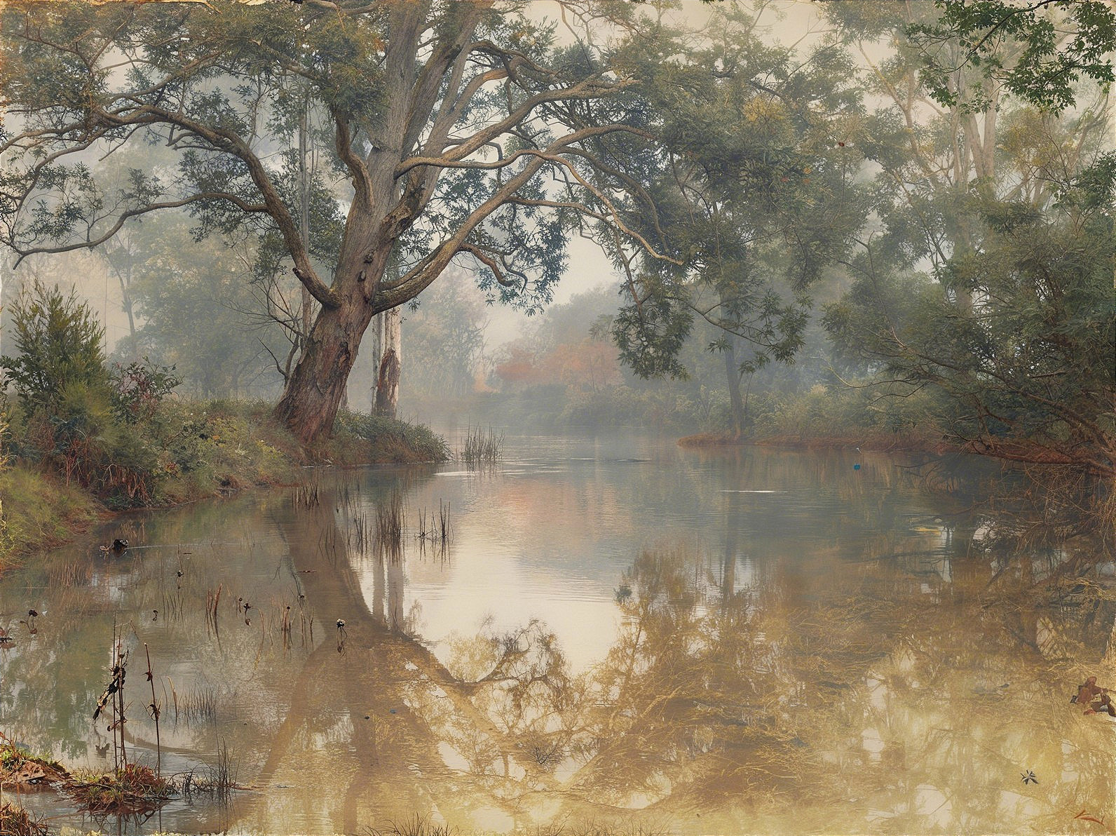 Misty Australian Billabong at Dawn with Gum Trees