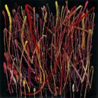 Serene Night Landscape with Trees and Moon Reflection