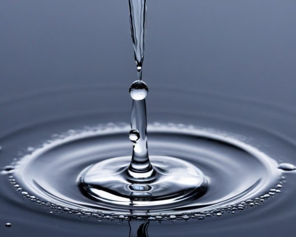 Droplet Creates Ripples on Calm Water Surface