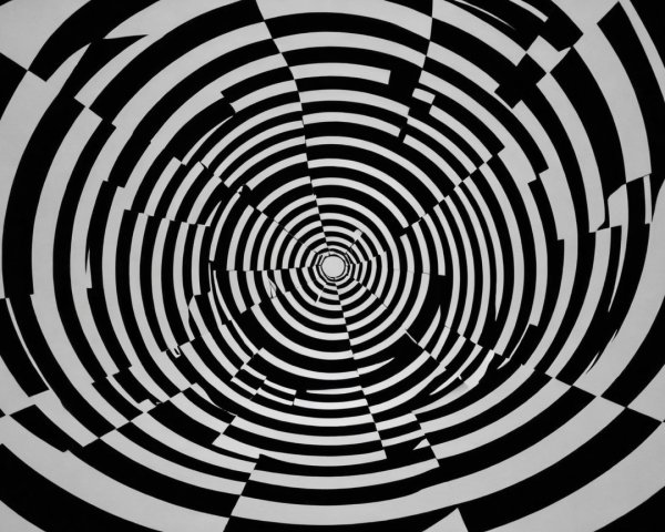Black and White Spiral Pattern with Concentric Circles
