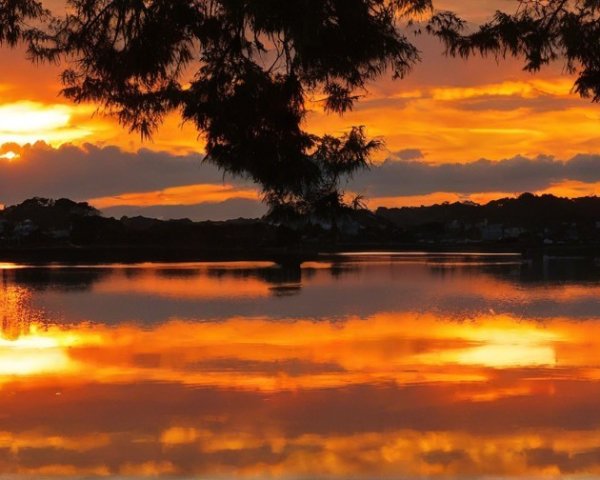 Vibrant Sunset Over Tranquil Lake with Silhouetted Trees