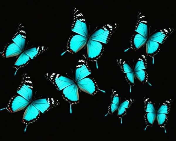Cluster of Electric Blue Butterflies on Black Background