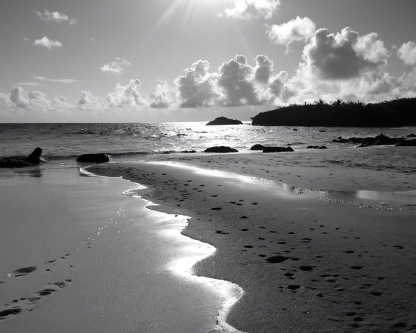 Black and White Beach Scene with Gentle Waves and Footprints