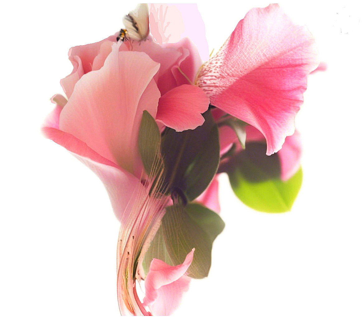 Delicate Pink Flower Arrangement on White Background