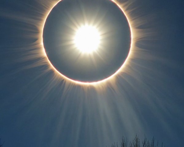 Celestial Display of Sun with Radiant Halo and Trees