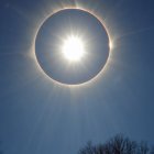 Celestial Display of Sun with Radiant Halo and Trees