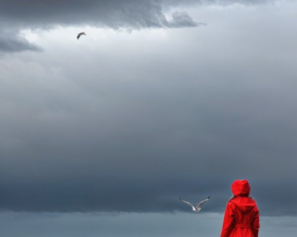 Person in Red Raincoat on Sandy Beach with Stormy Sea