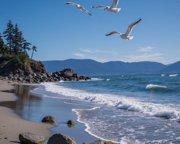Serene beach scene with waves, seagulls, and mountains