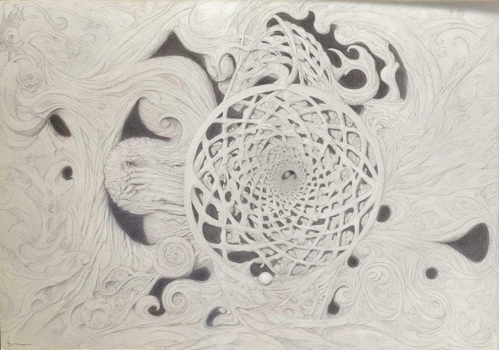 Surreal drawing with swirling organic shapes and patterns