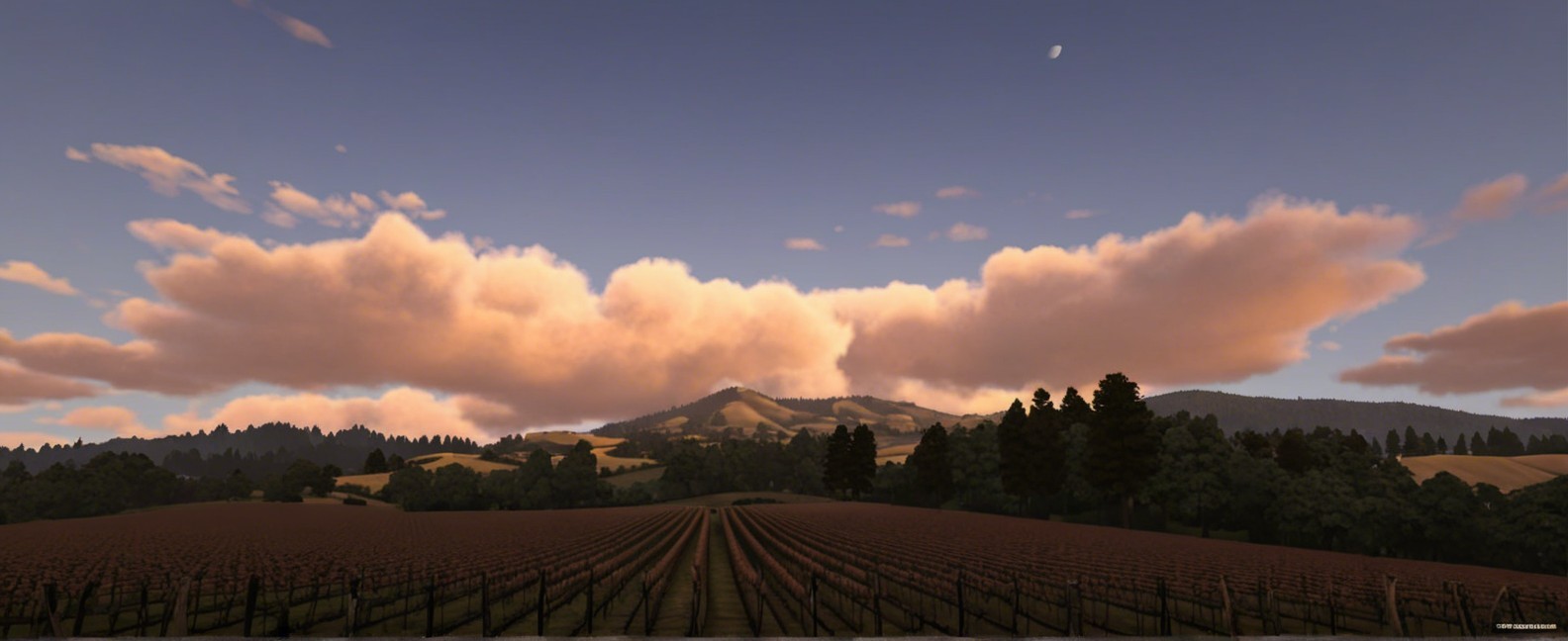 Vineyard Landscape with Mountains and Sunset Sky