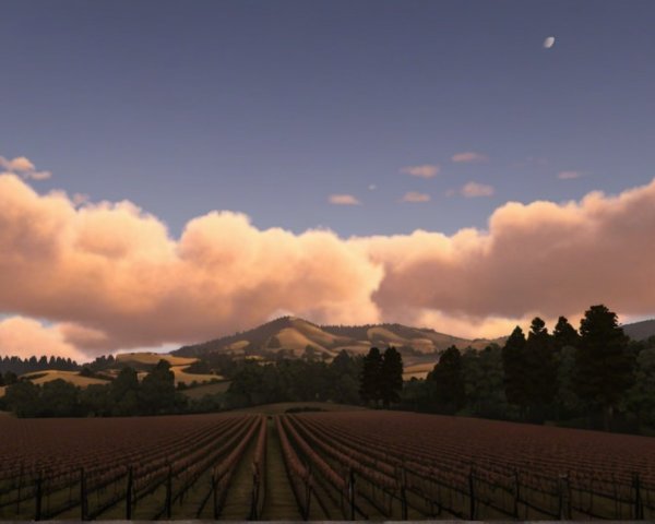 Vineyard Landscape with Mountains and Sunset Sky