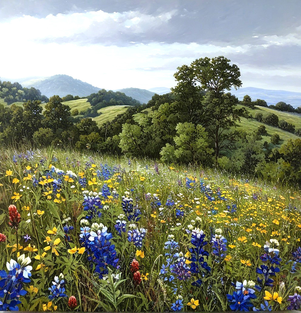Vibrant Meadow with Wildflowers and Rolling Hills