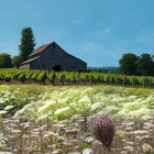 Serene Countryside Scene with Barn and Vineyards
