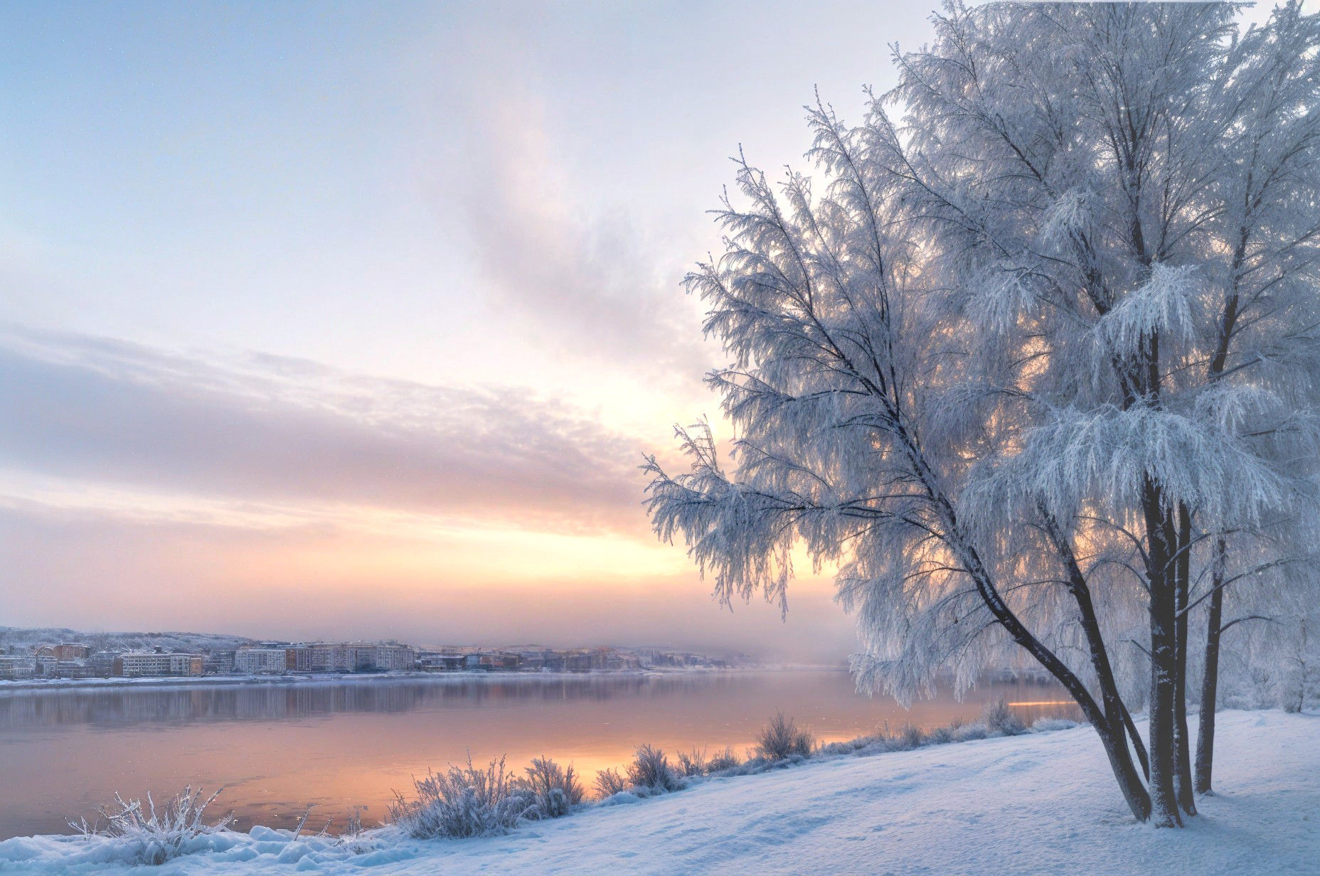 Tranquil Winter Scene with Frosted Tree and River