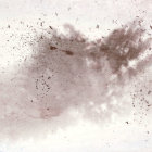 Playful Hippopotamus in Serene Water Setting