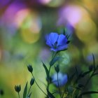 Surreal Landscape with Sea, Boat, and Ethereal Figure