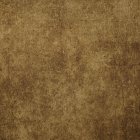 Whimsical Illustration of a Monkey in Formal Attire