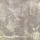 Young woman in yellow dress among blue and yellow flowers