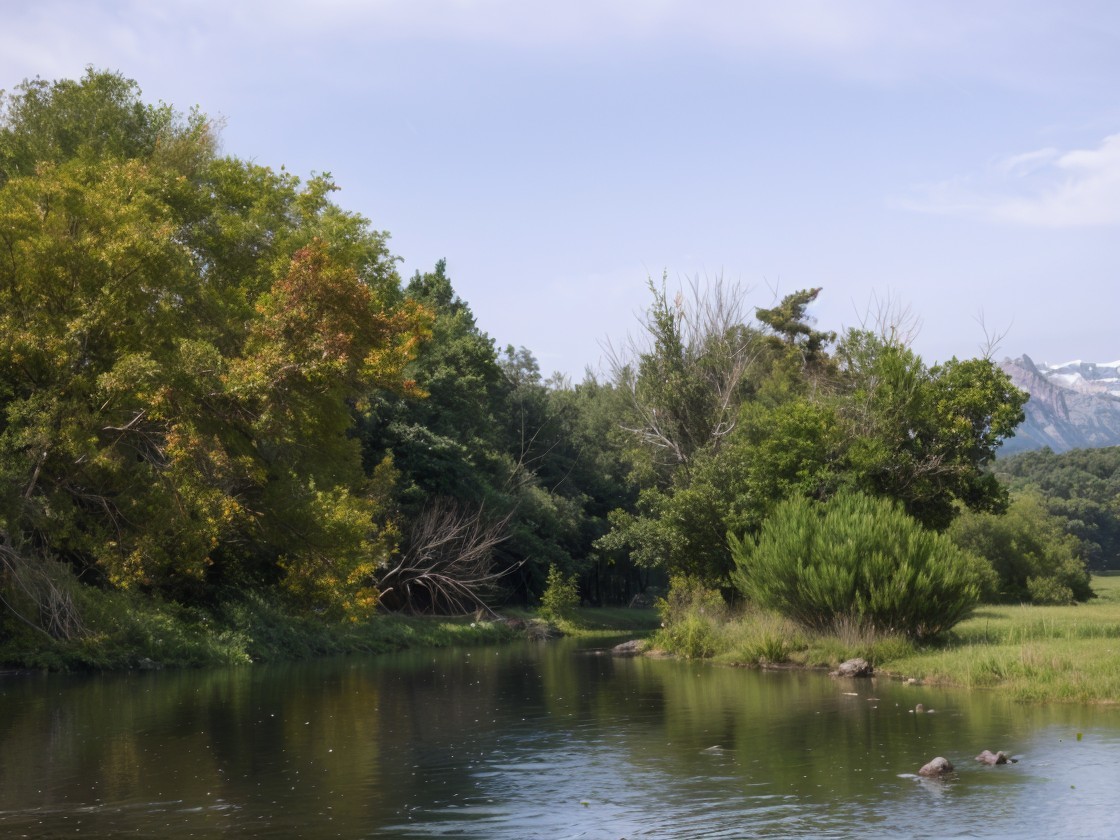 Serene River in Lush Landscape with Rolling Hills
