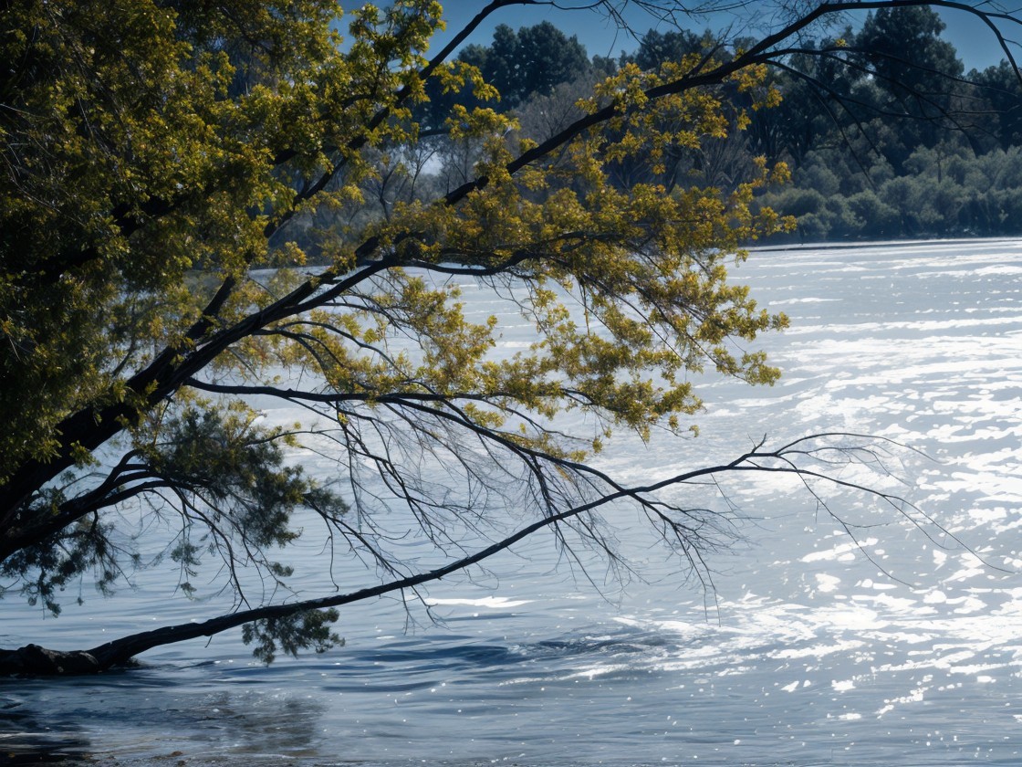 Serene Riverside Scene with Tree and Calm Water