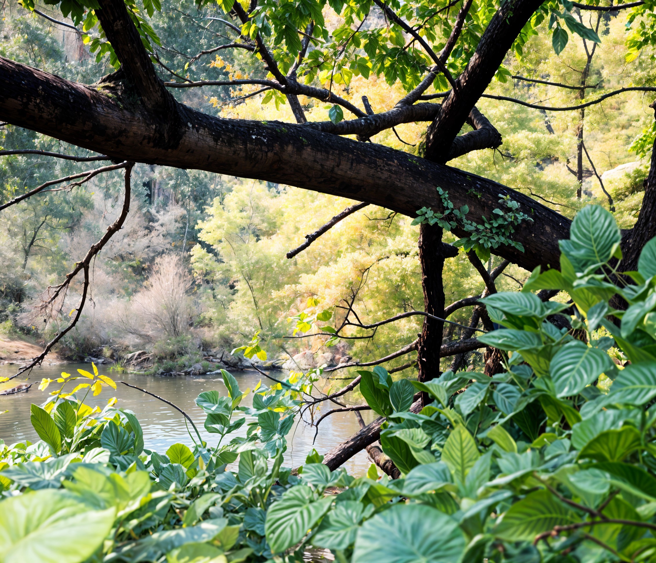 Tranquil Nature Scene with Lush Foliage and Water