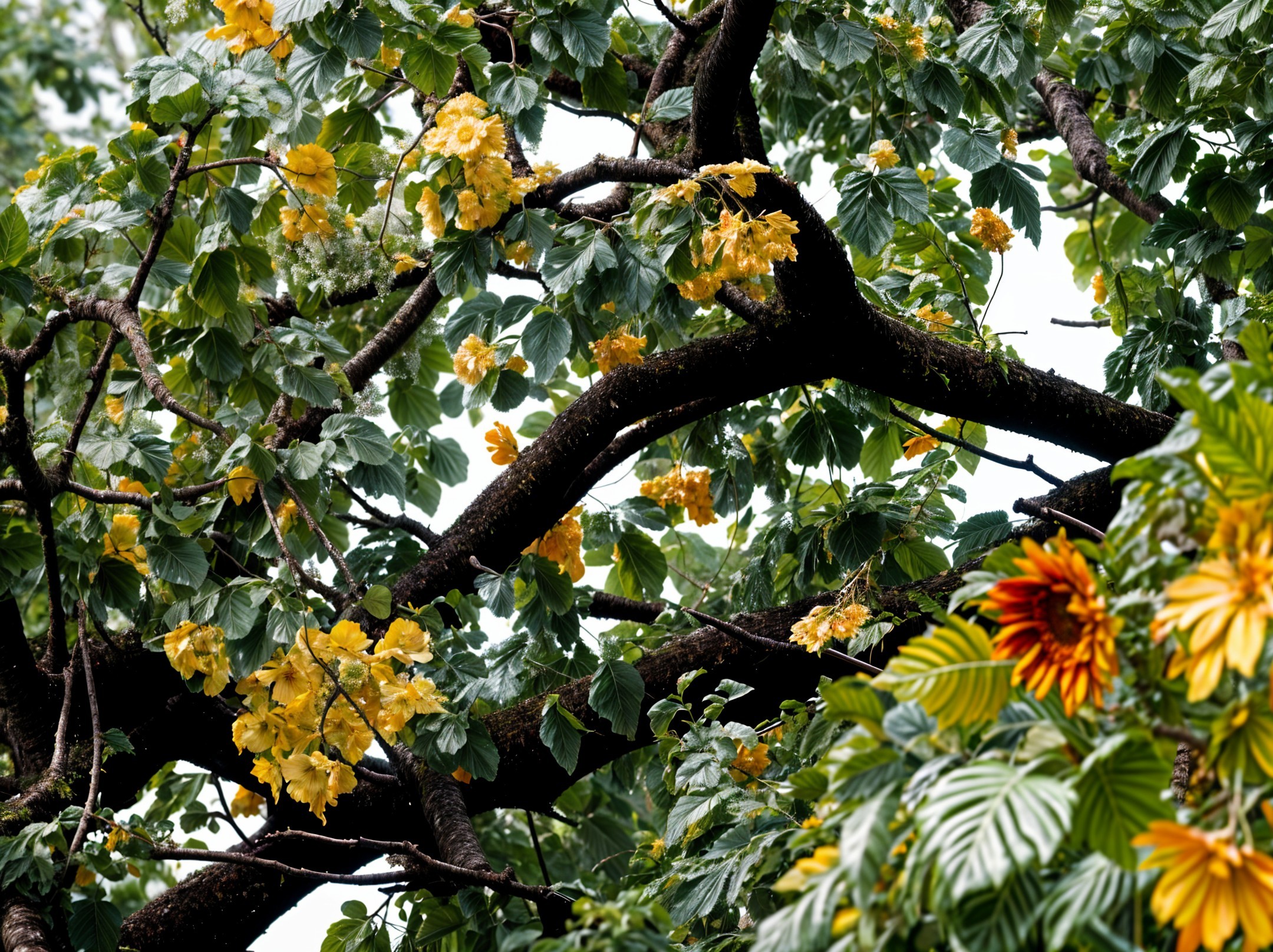 Lush Tree with Vibrant Yellow and Orange Flowers