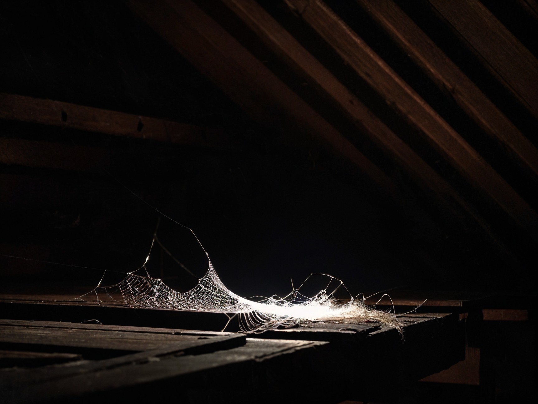Spider Web in Dimly Lit Attic with Dust Particles