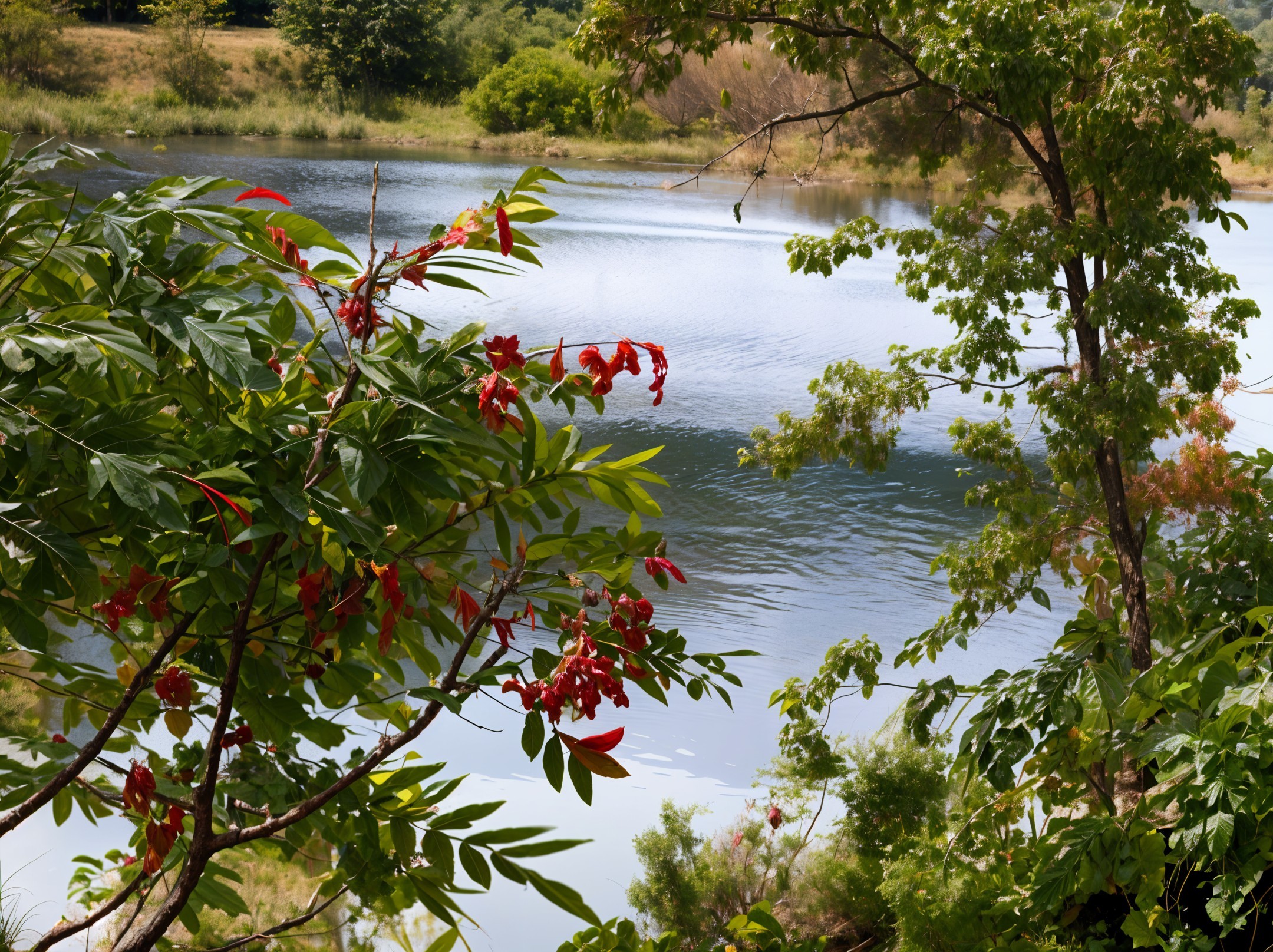 Lakeside Scene with Greenery and Red Flowers