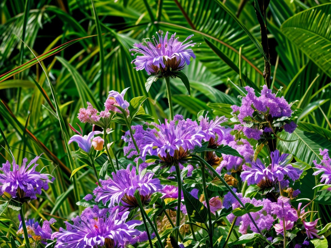 Vibrant Purple Flowers Amidst Lush Green Foliage