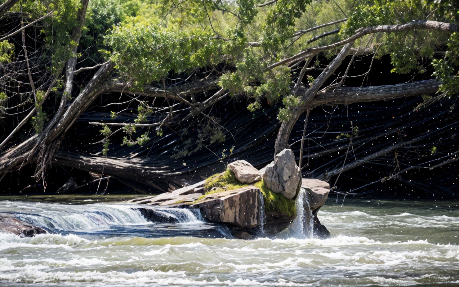 Tranquil River Scene with Lush Greenery and Rocks