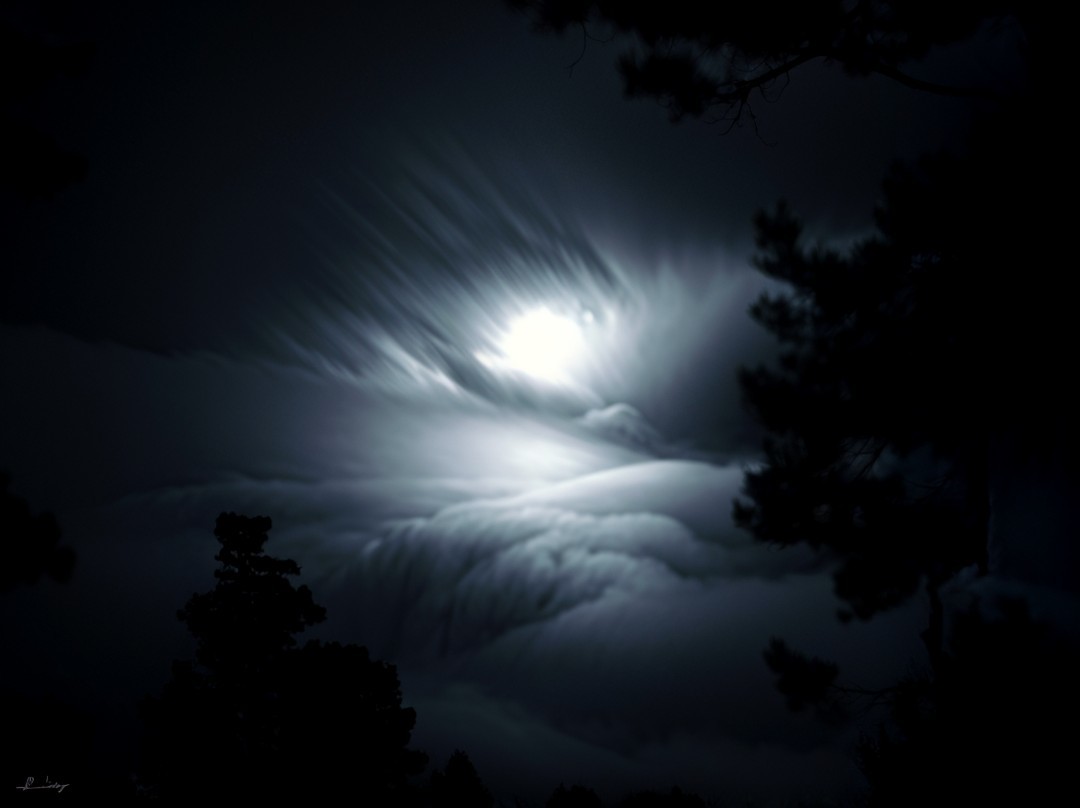 Dramatic Night Sky with Full Moon and Silhouetted Trees