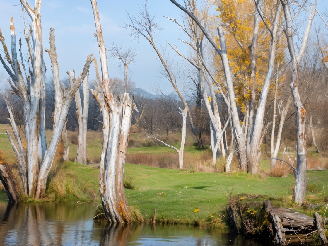 Serene Landscape with Calm Water and Autumn Foliage