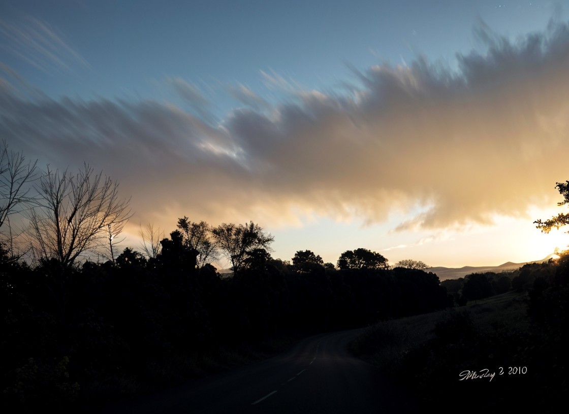 Serene Dusk Landscape with Winding Road and Trees