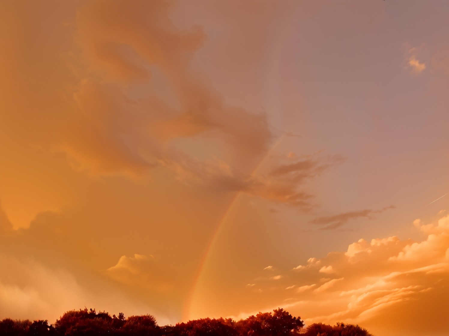 Vibrant Sunset Sky with Rainbow and Silhouette of Trees