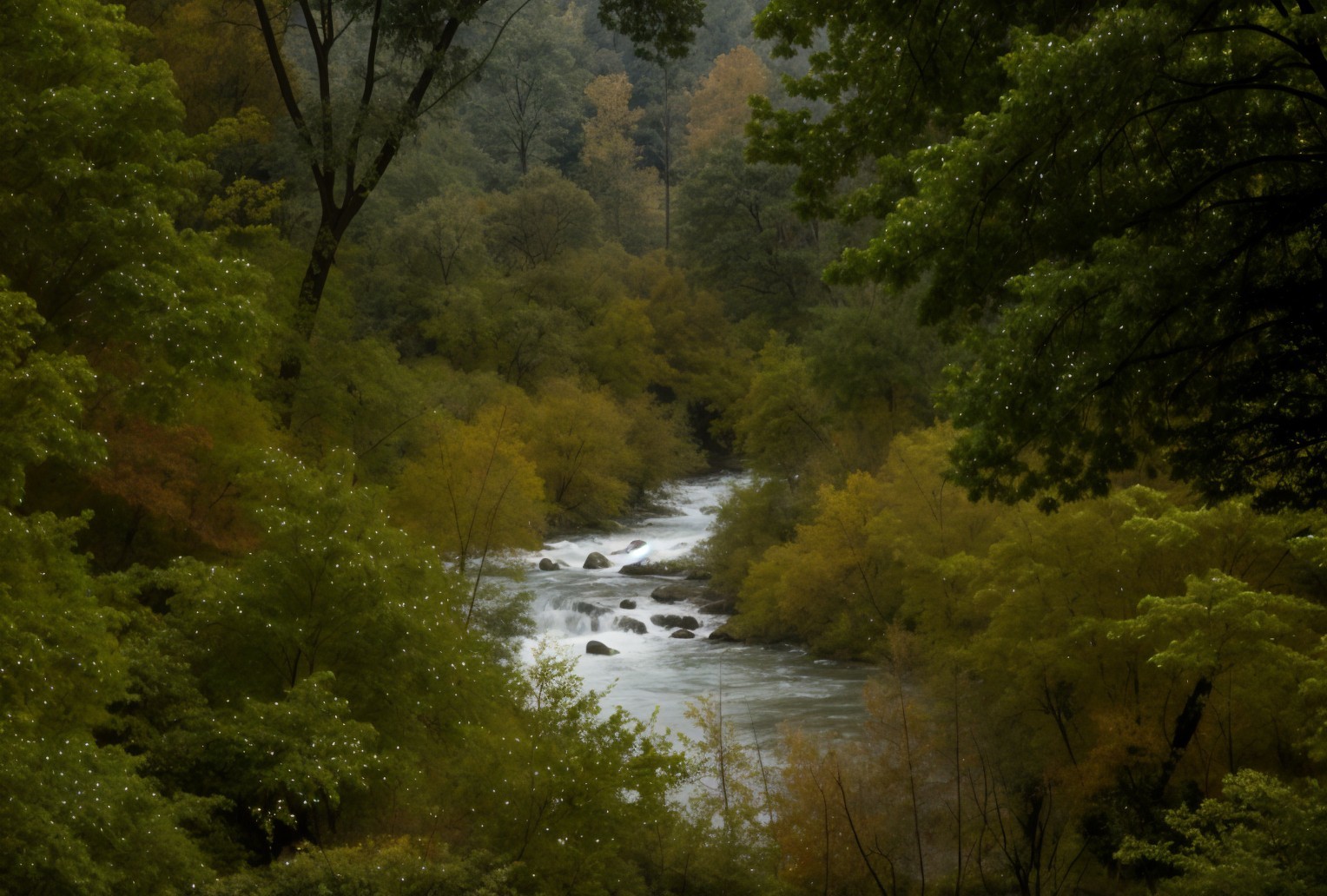 Serene River Flowing Through Lush Forest Landscape