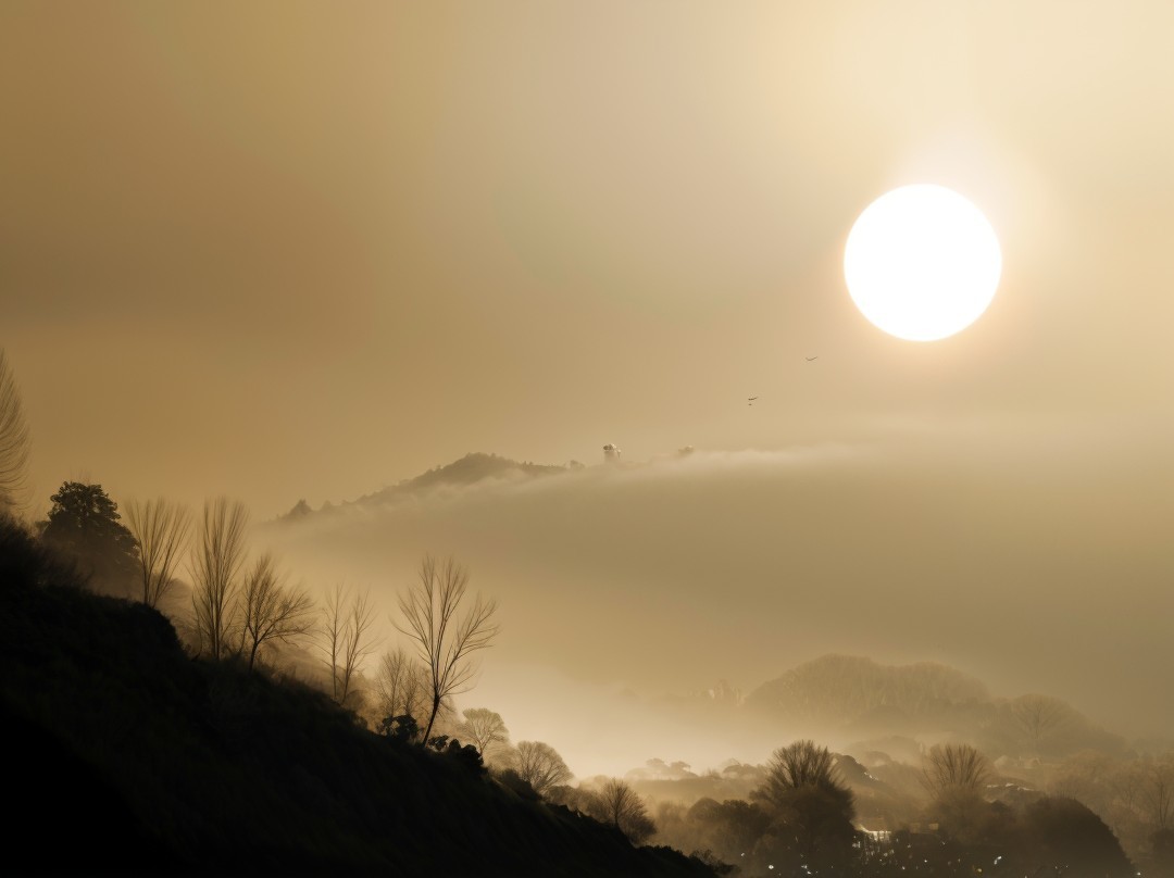 Serene Dusk Landscape with Silhouetted Trees and Hills