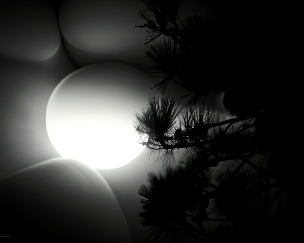 Monochromatic Scene with Glowing Orb and Pines